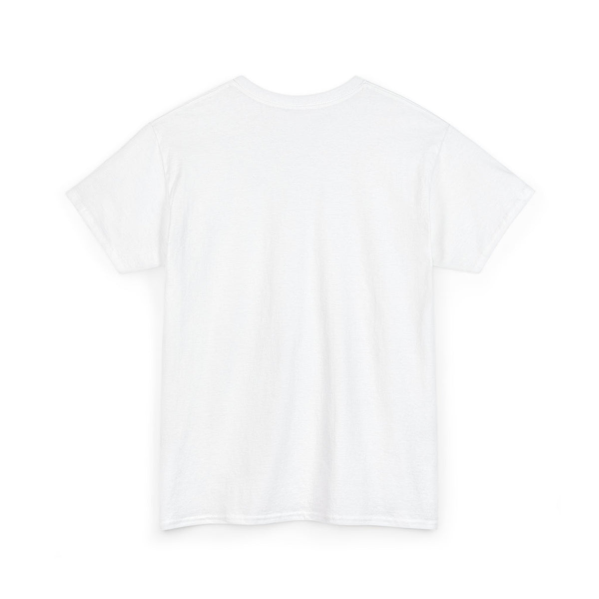 Raised Right Rebel Anyway T-Shirt — Western Cowboy Cowgirl Graphic Tee